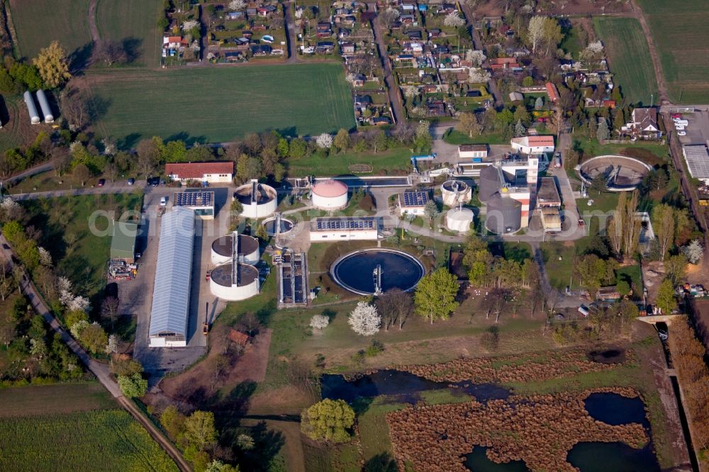 Aerial image Grünstadt - Sewage works Basin and purification steps for waste water treatment in Gruenstadt in the state Rhineland-Palatinate, Germany