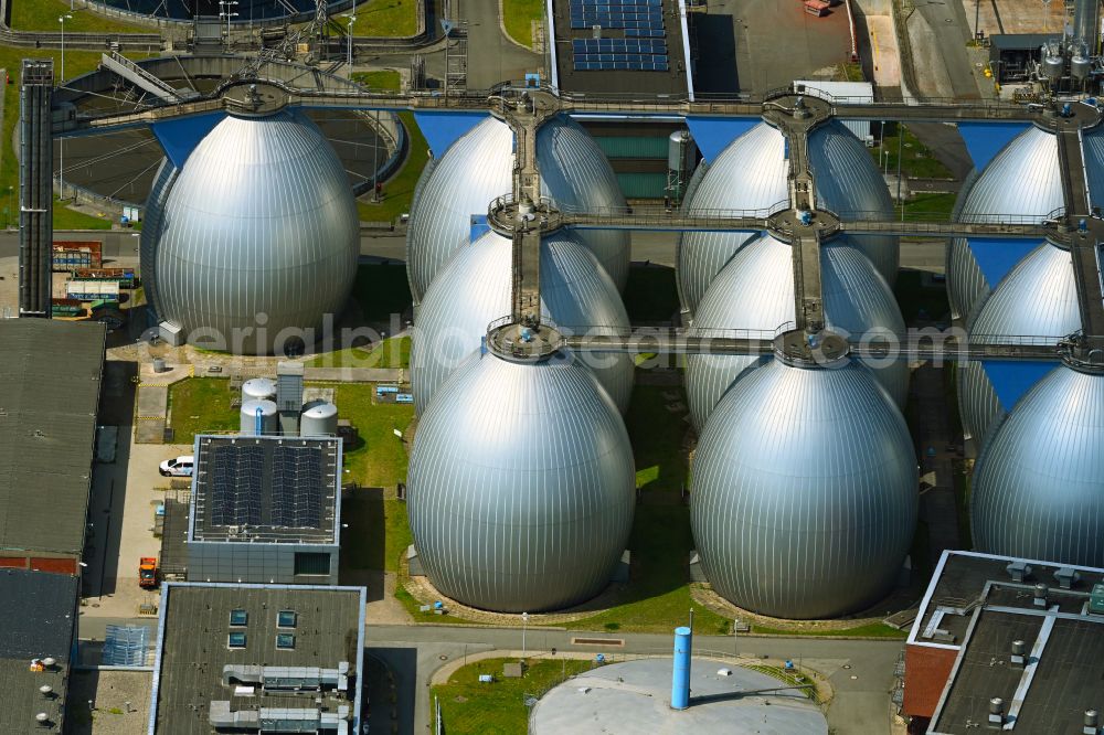 Aerial image Hamburg - Sewage works Basin and purification steps for waste water treatment of Hamburger Stadtentwaesserung on Koehlbranddeich in the district Steinwerder in Hamburg, Germany