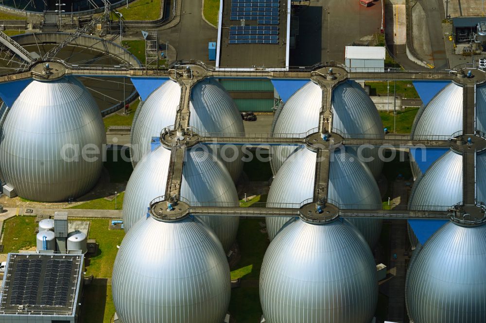 Hamburg from above - Sewage works Basin and purification steps for waste water treatment of Hamburger Stadtentwaesserung on Koehlbranddeich in the district Steinwerder in Hamburg, Germany