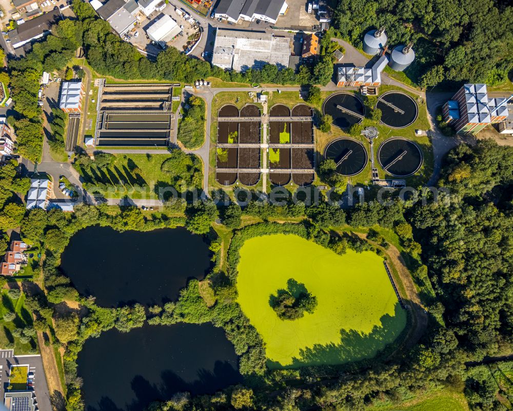 Aerial image Hattingen - Sewage works Basin and purification steps for waste water treatment in Hattingen in the state North Rhine-Westphalia, Germany