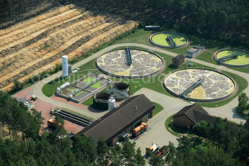 Jessen (Elster) from the bird's eye view: Sewage works, basin and purification steps for waste water treatment in Jessen (Elster) in the state Saxony-Anhalt. The compound and facilities are located in a forest in the West of Essen