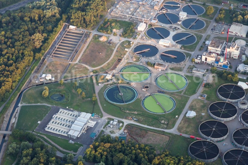 Karlsruhe from the bird's eye view: Sewage works Basin and purification steps for waste water treatment of Klaerwerk Karlsruhe in Karlsruhe in the state Baden-Wurttemberg, Germany