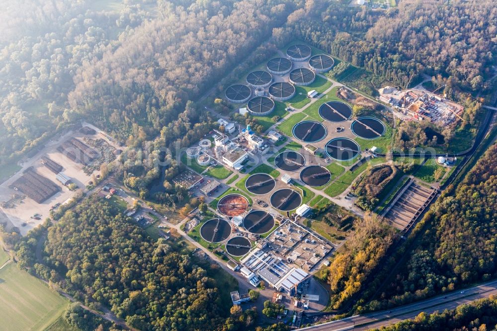 Aerial photograph Karlsruhe - Sewage works Basin and purification steps for waste water treatment of Klaerwerk Karlsruhe in the district Knielingen in Karlsruhe in the state Baden-Wuerttemberg, Germany