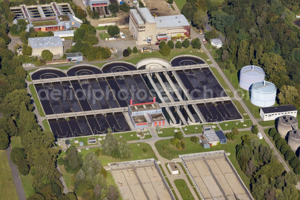 Aerial image Düsseldorf - Wastewater treatment plant basins and cleaning stages for wastewater treatment at the Duesseldorf South wastewater treatment plant on Hammer Deich in Duesseldorf in the federal state of North Rhine-Westphalia