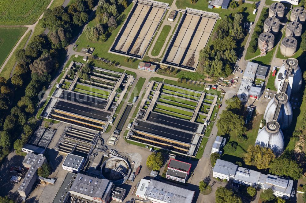 Aerial photograph Düsseldorf - Wastewater treatment plant basins and cleaning stages for wastewater treatment at the Duesseldorf South wastewater treatment plant on Hammer Deich in Duesseldorf in the federal state of North Rhine-Westphalia