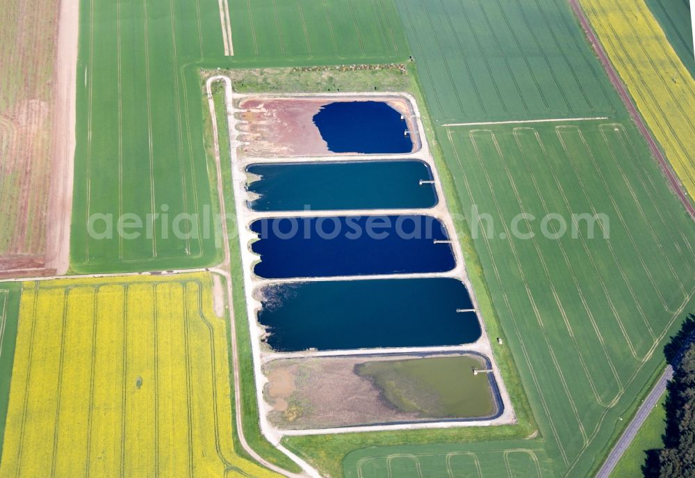 Aerial image Mühlberg/Elbe - Sewage works Basin and purification steps for waste water treatment Suedzucker Brottewitz in Muehlberg/Elbe in the state Brandenburg