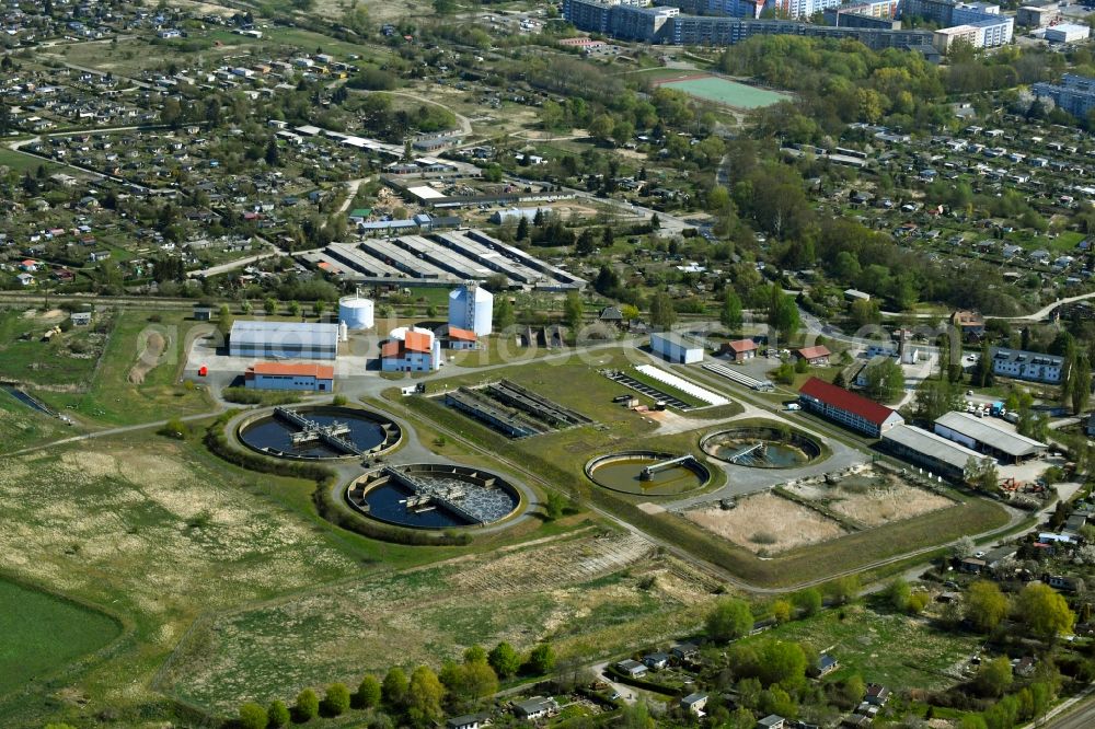 Neubrandenburg from above - Sewage works Basin and purification steps for waste water treatment on Kruegerkonp in Neubrandenburg in the state Mecklenburg - Western Pomerania, Germany