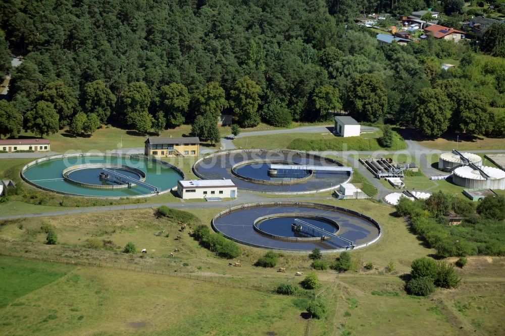 Neustrelitz from above - Sewage works Basin and purification steps for waste water treatment Stadtwerke in Neustrelitz in the state Mecklenburg - Western Pomerania