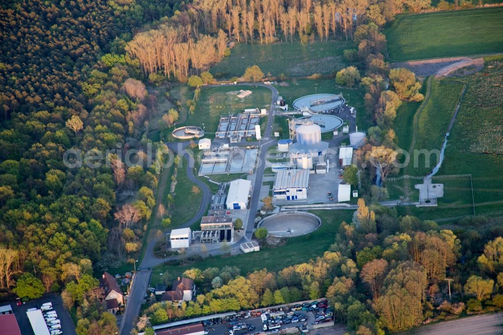 Aerial photograph Neustadt an der Weinstraße - Sewage works Basin and purification steps for waste water treatment in the district Lachen-Speyerdorf in Neustadt an der Weinstrasse in the state Rhineland-Palatinate, Germany