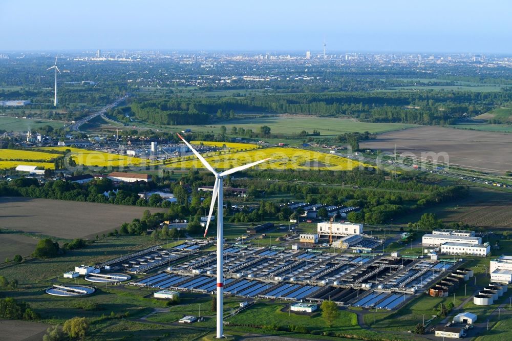 Aerial photograph Schönerlinde - Sewage works Basin and purification steps for waste water treatment in Schoenerlinde in the state Brandenburg, Germany