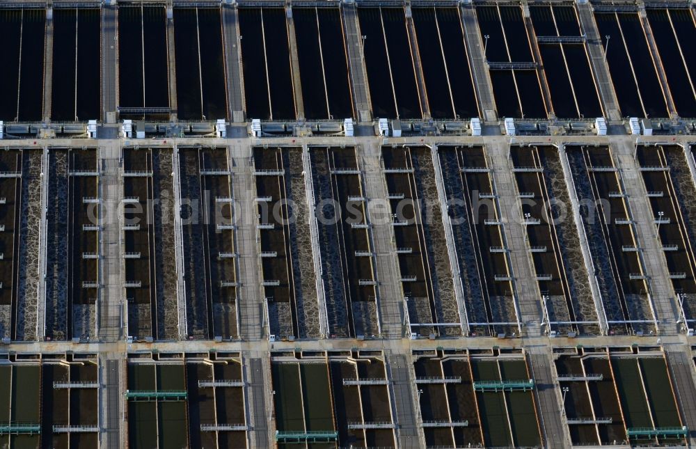 Aerial image Schönerlinde - Sewage works Basin and purification steps for waste water treatment Berliner Wasserbetriebe in Schoenerlinde in the state Brandenburg