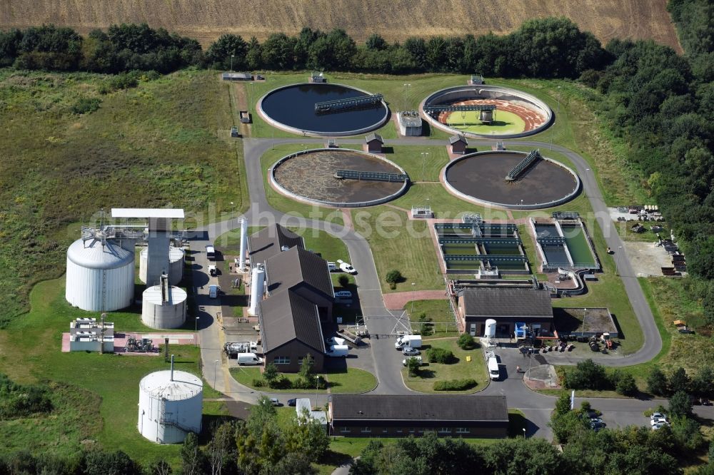 Senftenberg from the bird's eye view: Sewage works Basin and purification steps for waste water treatment of the Wasserverband Lausitz Betriebsfuehrungs GmbH in Senftenberg in the state Brandenburg