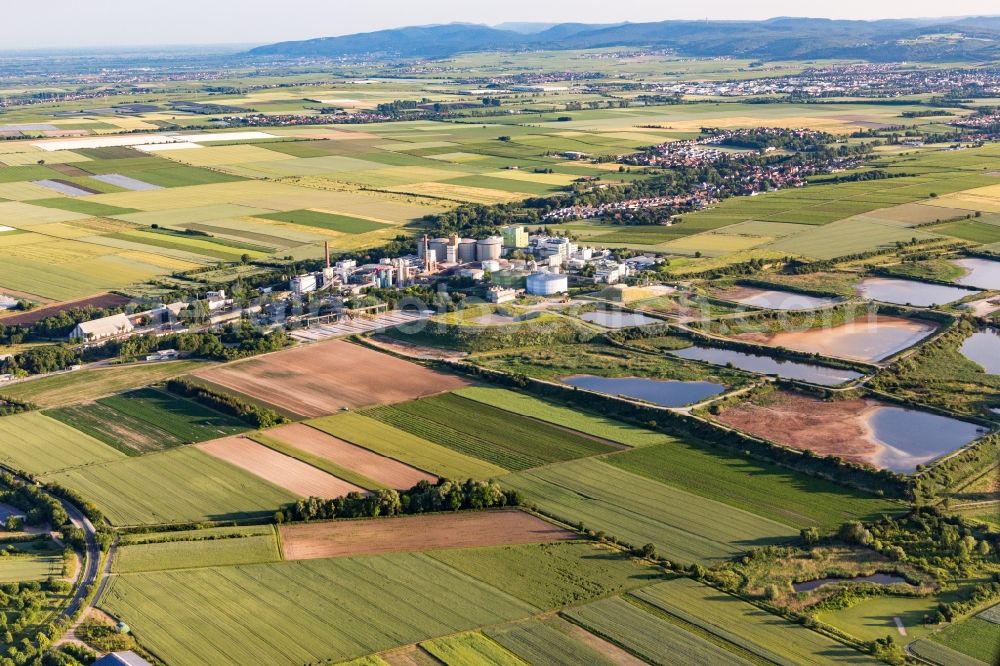 Aerial photograph Obrigheim (Pfalz) - Sewage works Basin for waste water treatment of sugar factory Suedzucker AG in Obrigheim (Pfalz) in the state Rhineland-Palatinate, Germany