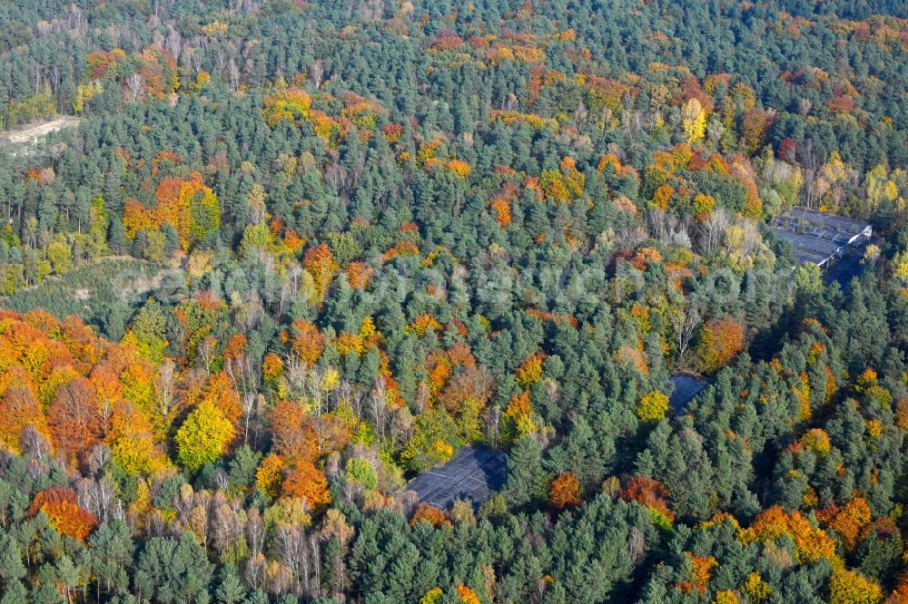 Lobetal from above - Conversion surfaces on the renatured site of the former military training area in Lobetal in the state Brandenburg, Germany