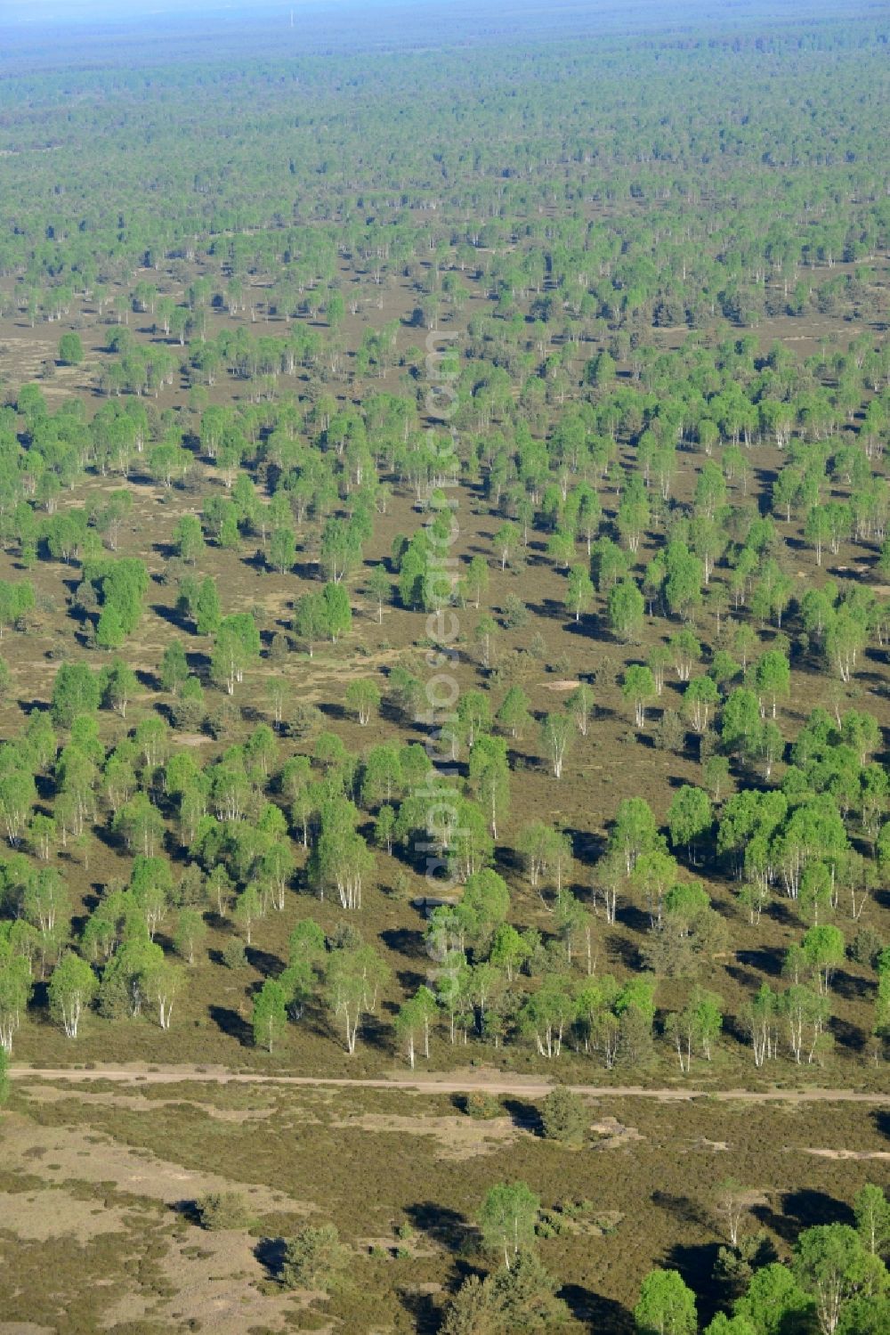 Aerial image Wittstock/Dosse - Conversion surfaces on the renatured site of the former military training area in Wittstock/Dosse in the state Brandenburg