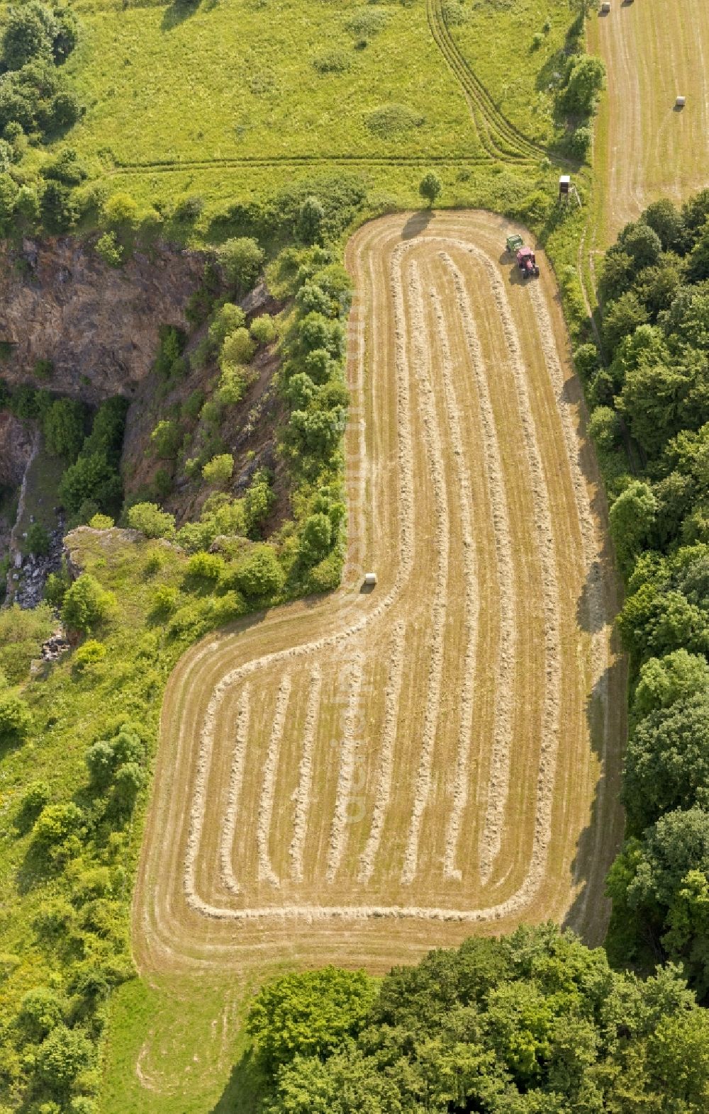 Brilon from the bird's eye view: Sorghum harvest above the rock formations in the landscape plan Untere Hoppecktal near by Brilon in the Sauerland region of North Rhine-Westphalia