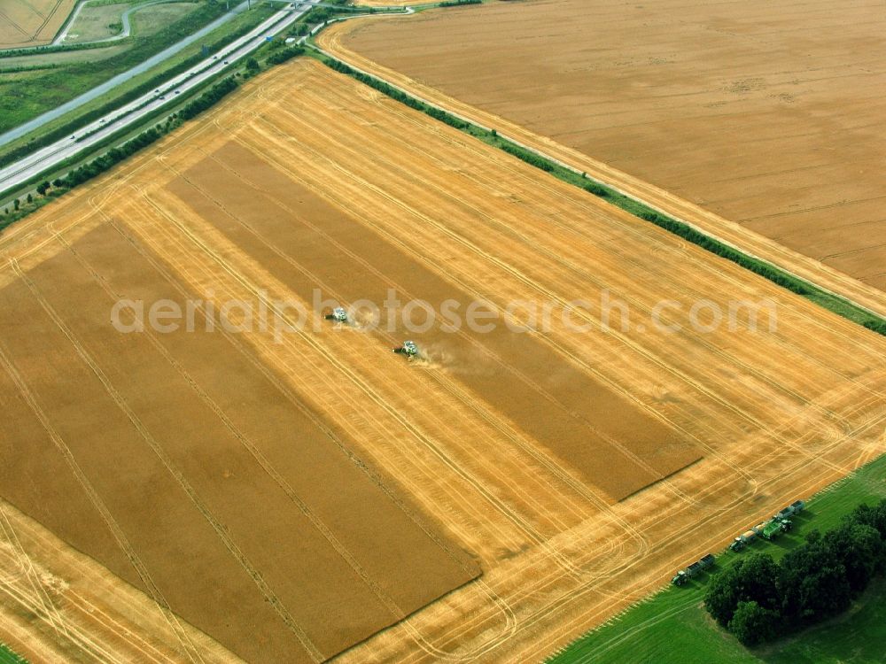 Elxleben from above - Grain harvest on a grain field in Elxleben in Thuringia