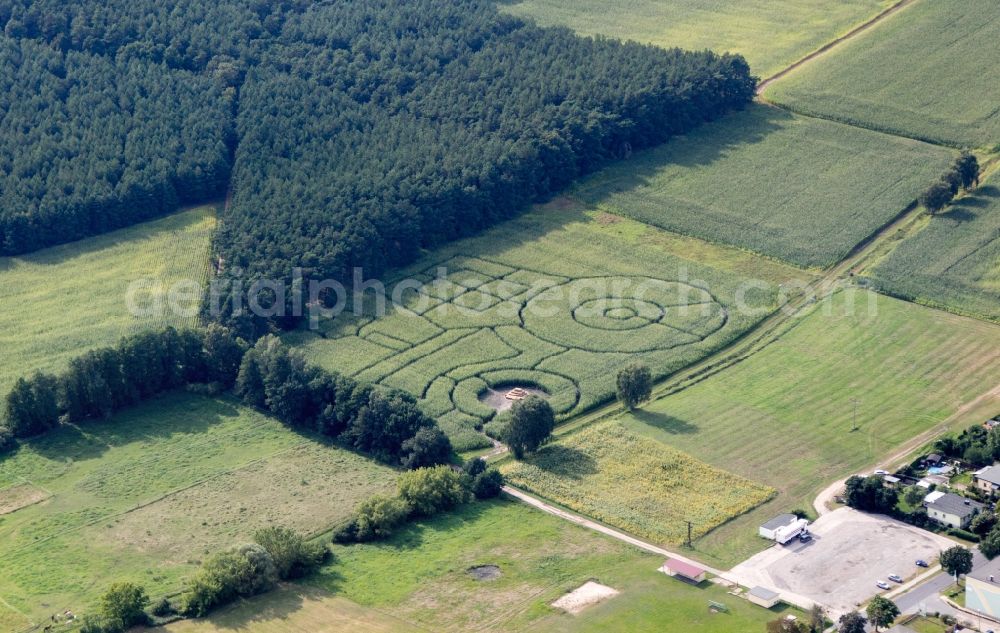 Trebbin from the bird's eye view: Grain field structures of a grain circle in Trebbin in the state Brandenburg, Germany