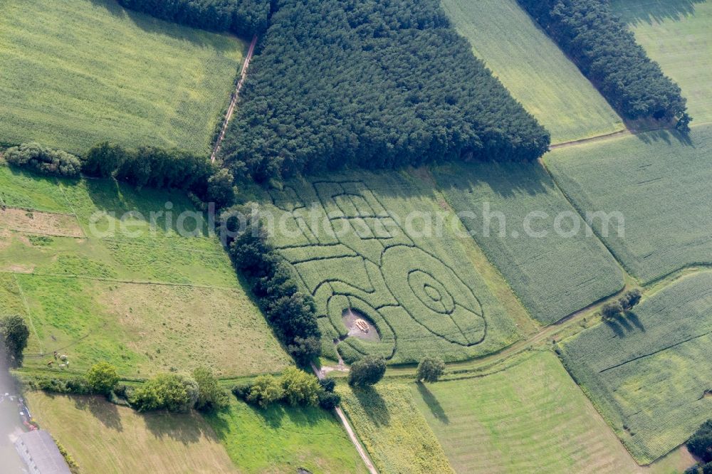 Aerial image Trebbin - Grain field structures of a grain circle in Trebbin in the state Brandenburg, Germany