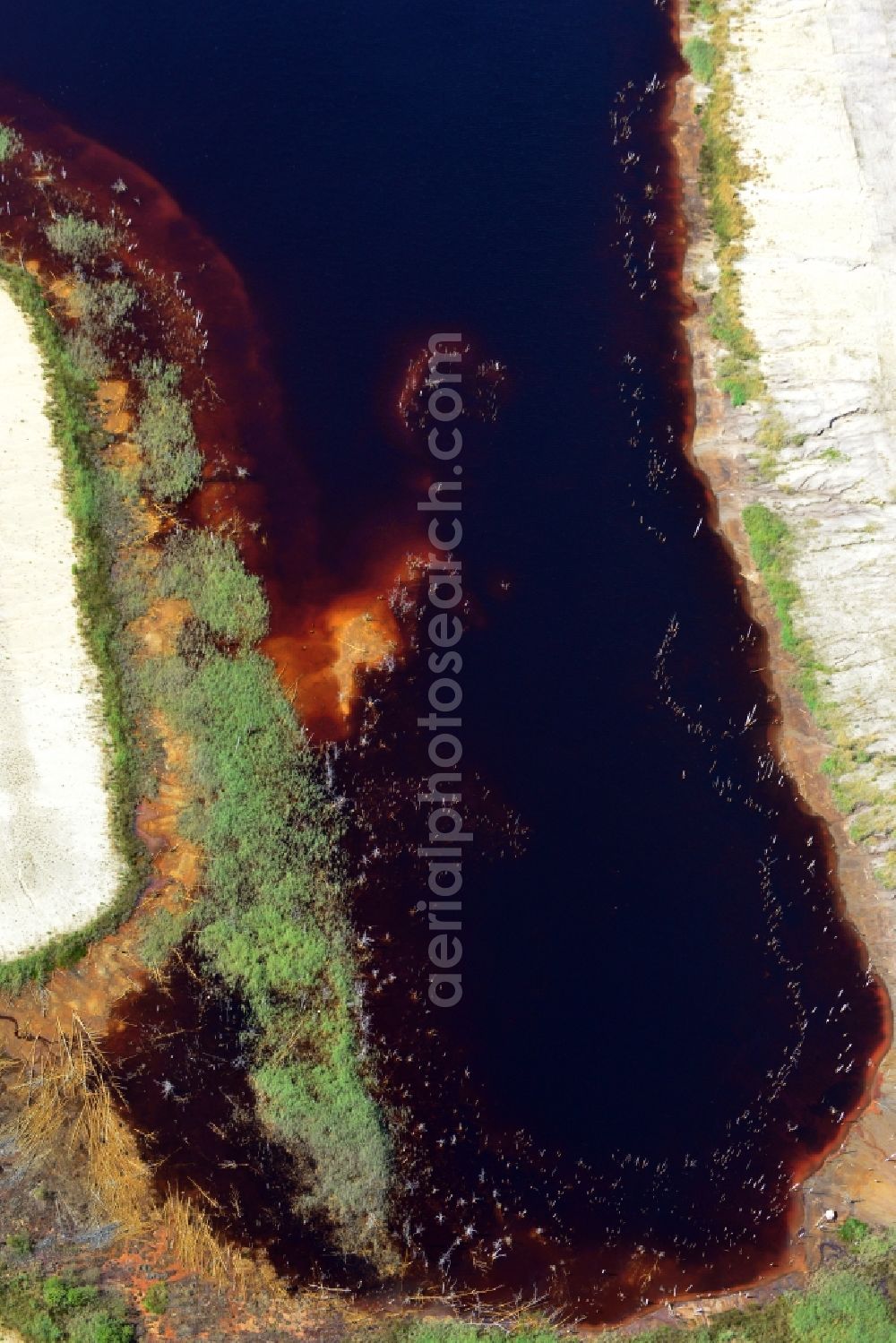 Lauchhammer from above - Lake Koynesee in the nature paradise Gruenhaus, a landscape developing in the aftermath of the mining era near Lauchhammer in Lower Lusatia in the in the state Brandenburg. ww.nabu.de