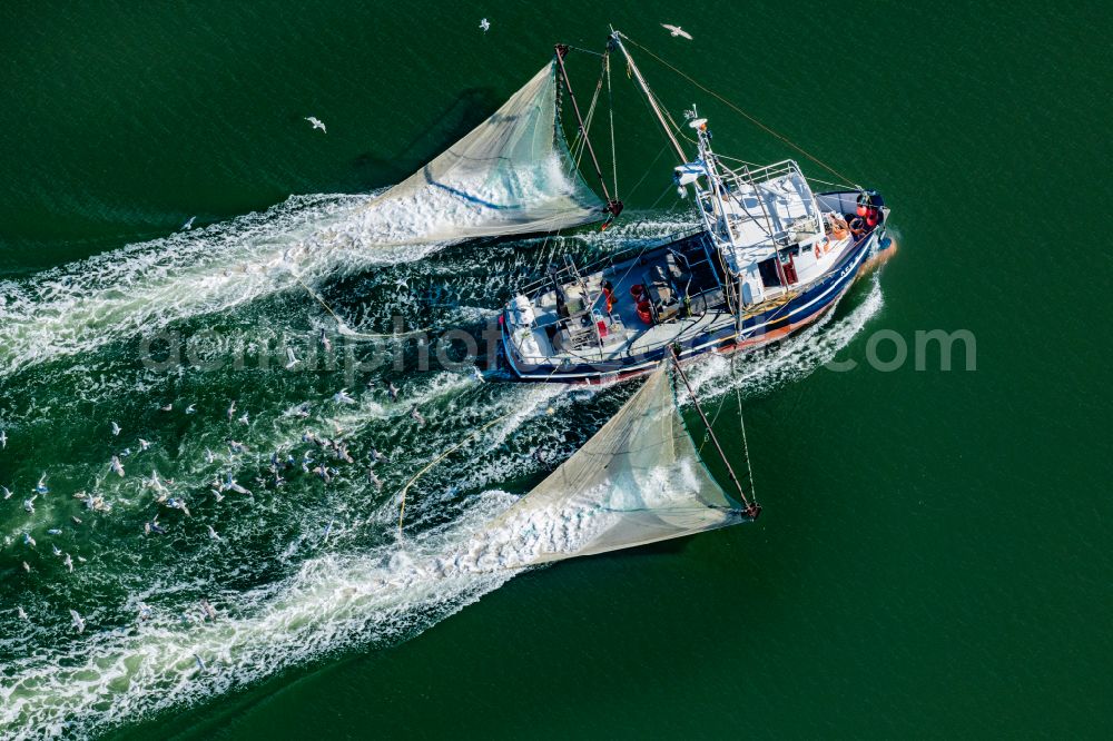 Norderney from the bird's eye view: Shrimp cutter in motion ACC 2 Emma in the Prilen off Norderney in the state of Lower Saxony, Germany