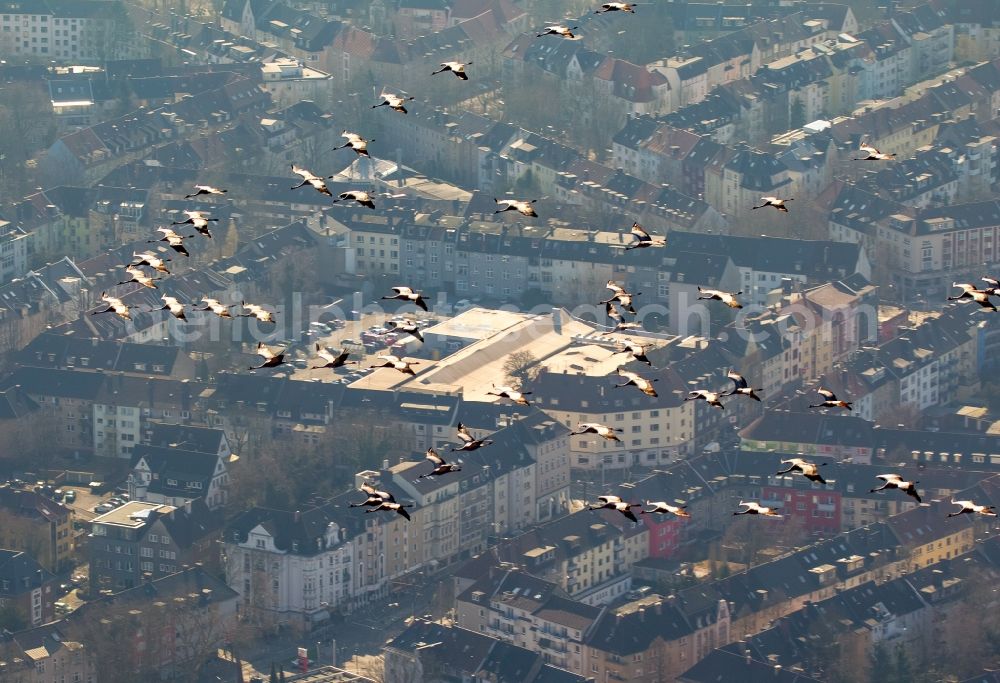 Aerial image Essen - Cranes flying above the city center of Essen in the state of North Rhine-Westphalia