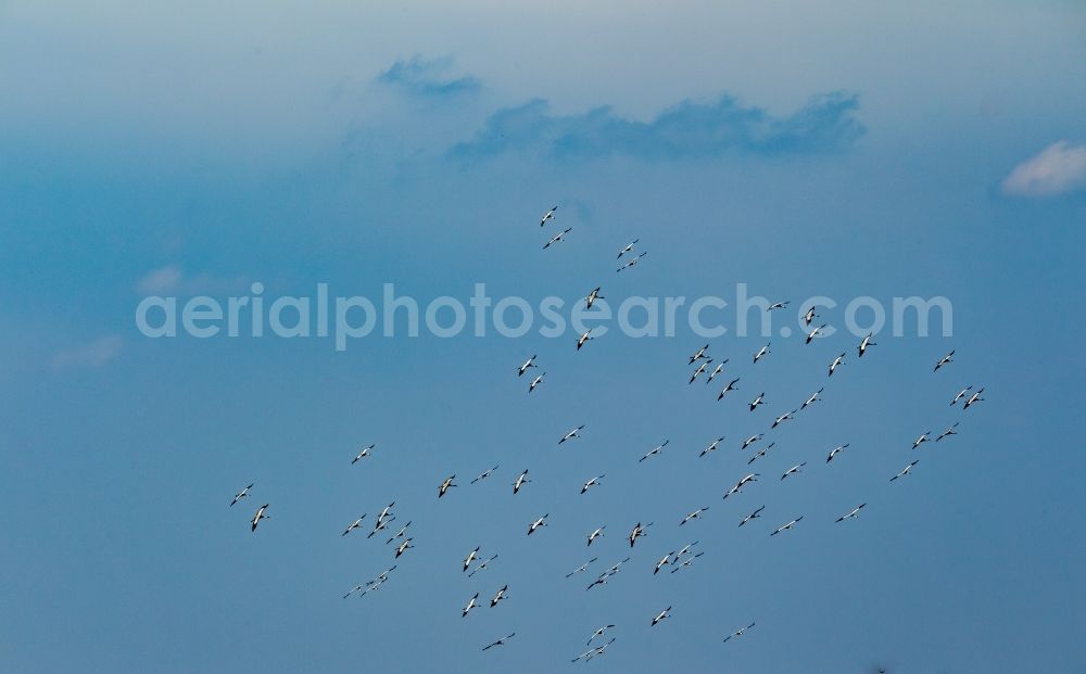 Aerial photograph Essen - Cranes flying above the city center of Essen in the state of North Rhine-Westphalia