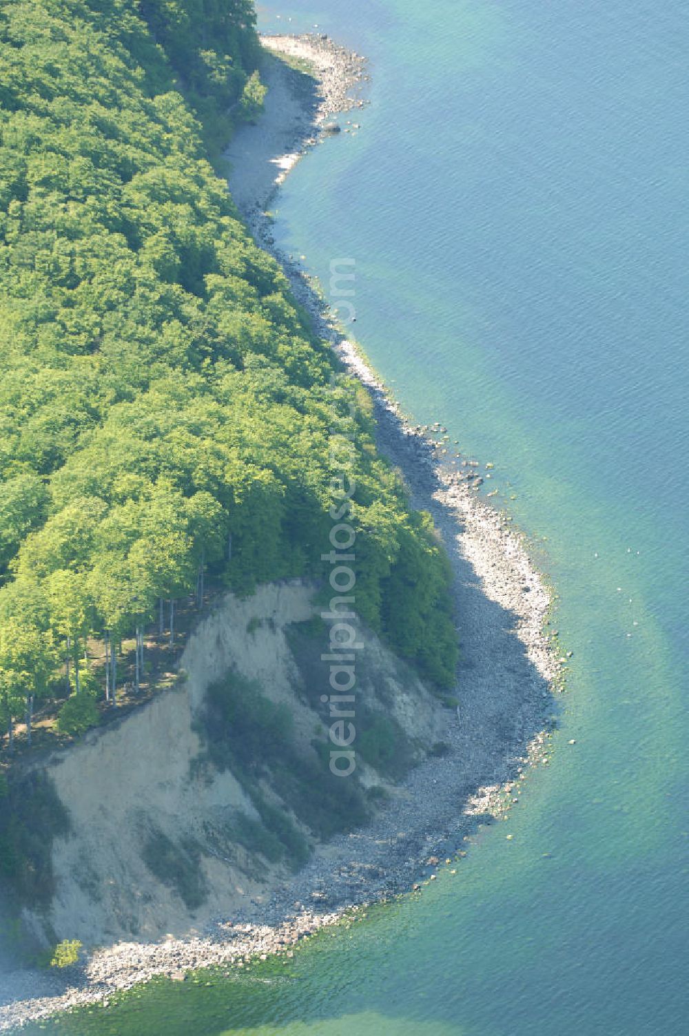 Halbinsel Jasmund from above - Blick auf die Kreidefelsen Steilküste. Im Nordosten der Halbinsel Jasmund auf Rügen erstreckt sich auf rund fünfzehn Kilometer Länge zwischen Sassnitz und Lohme die Kreidefelsen-Steilküste. Teilweise bis 120 Meter ragen die Kreidefelsen empor. Der bekannteste und meistbesuchteste unter ist ein Felsvorsprung mit dem Namen Königsstuhl, der sich etwa 10 km von Sassnitz entfernt befindet.