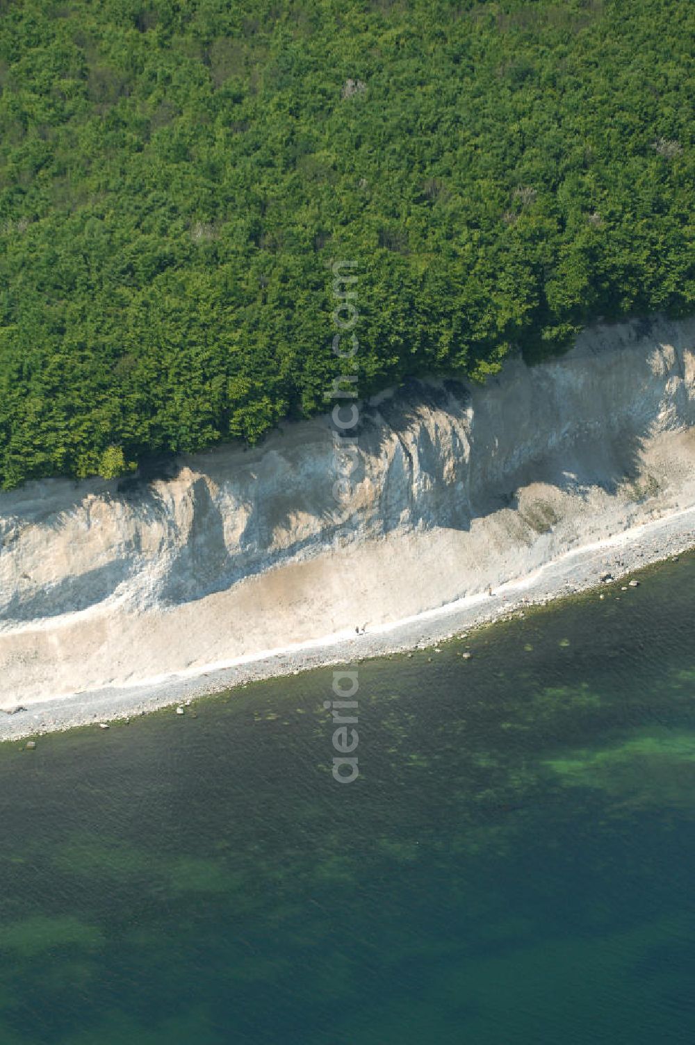 Halbinsel Jasmund from above - Blick auf die Kreidefelsen Steilküste. Im Nordosten der Halbinsel Jasmund auf Rügen erstreckt sich auf rund fünfzehn Kilometer Länge zwischen Sassnitz und Lohme die Kreidefelsen-Steilküste. Teilweise bis 120 Meter ragen die Kreidefelsen empor. Der bekannteste und meistbesuchteste unter ist ein Felsvorsprung mit dem Namen Königsstuhl, der sich etwa 10 km von Sassnitz entfernt befindet.