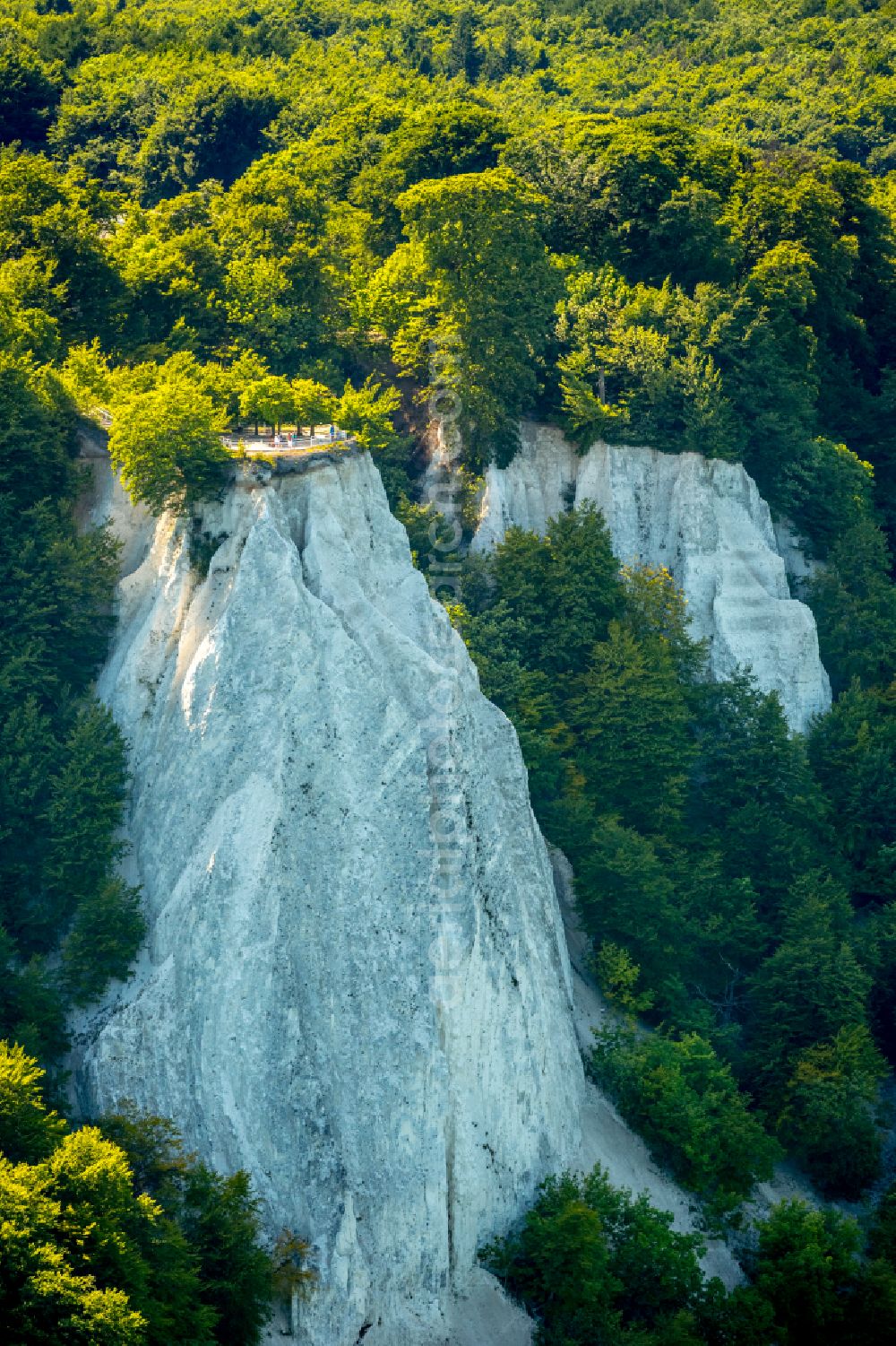 Stubbenkammer from the bird's eye view: Wooded chalk cliffs and cliff landscape in the Jasmund National Park on the cliffs on the Baltic Sea in Stubbenkammer on the island of Ruegen in the state Mecklenburg-West Pomerania, Germany