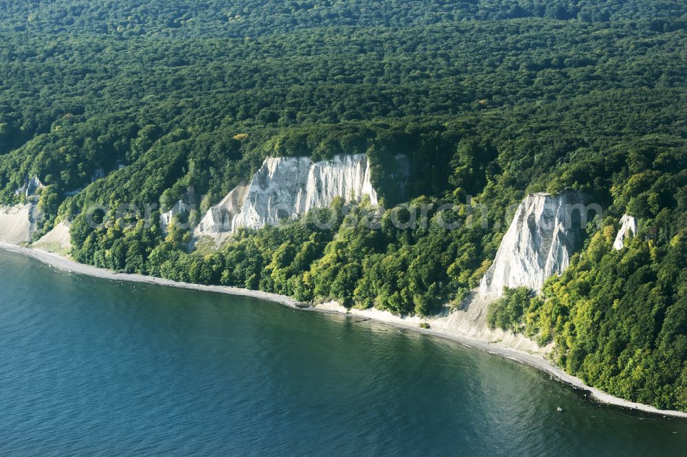 Stubbenkammer from the bird's eye view: Wooded chalk cliffs and cliff landscape in the Jasmund National Park on the cliffs on the Baltic Sea in Stubbenkammer on the island of Ruegen in the state Mecklenburg-West Pomerania, Germany