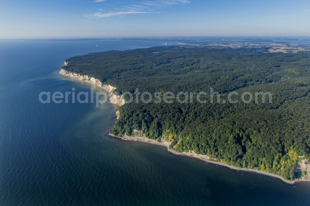 Stubbenkammer from the bird's eye view: Wooded chalk cliffs and cliff landscape in the Jasmund National Park on the cliffs on the Baltic Sea in Stubbenkammer on the island of Ruegen in the state Mecklenburg-West Pomerania, Germany