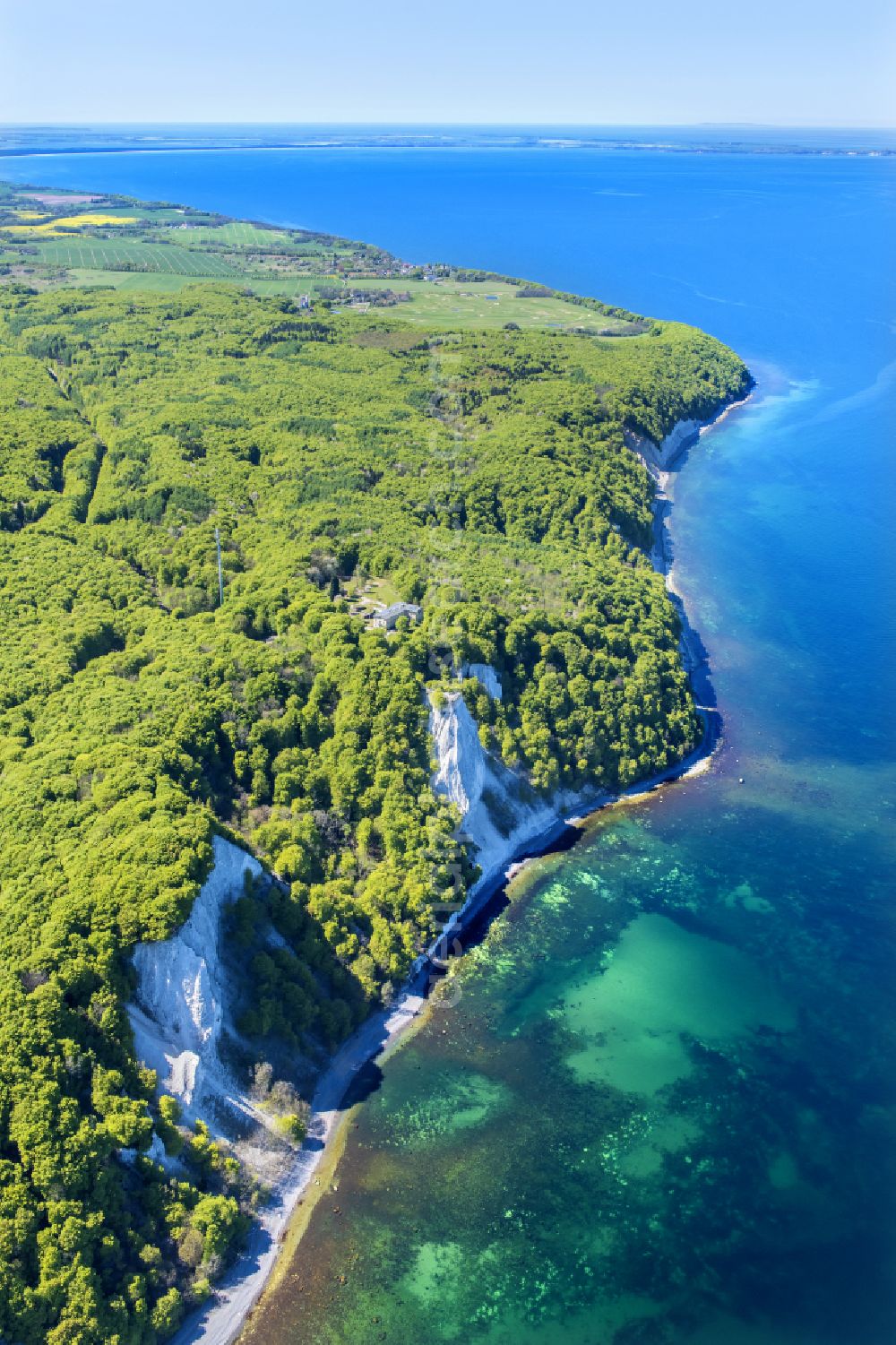 Stubbenkammer from the bird's eye view: Wooded chalk cliffs and cliff landscape in the Jasmund National Park on the cliffs on the Baltic Sea in Stubbenkammer on the island of Ruegen in the state Mecklenburg-West Pomerania, Germany