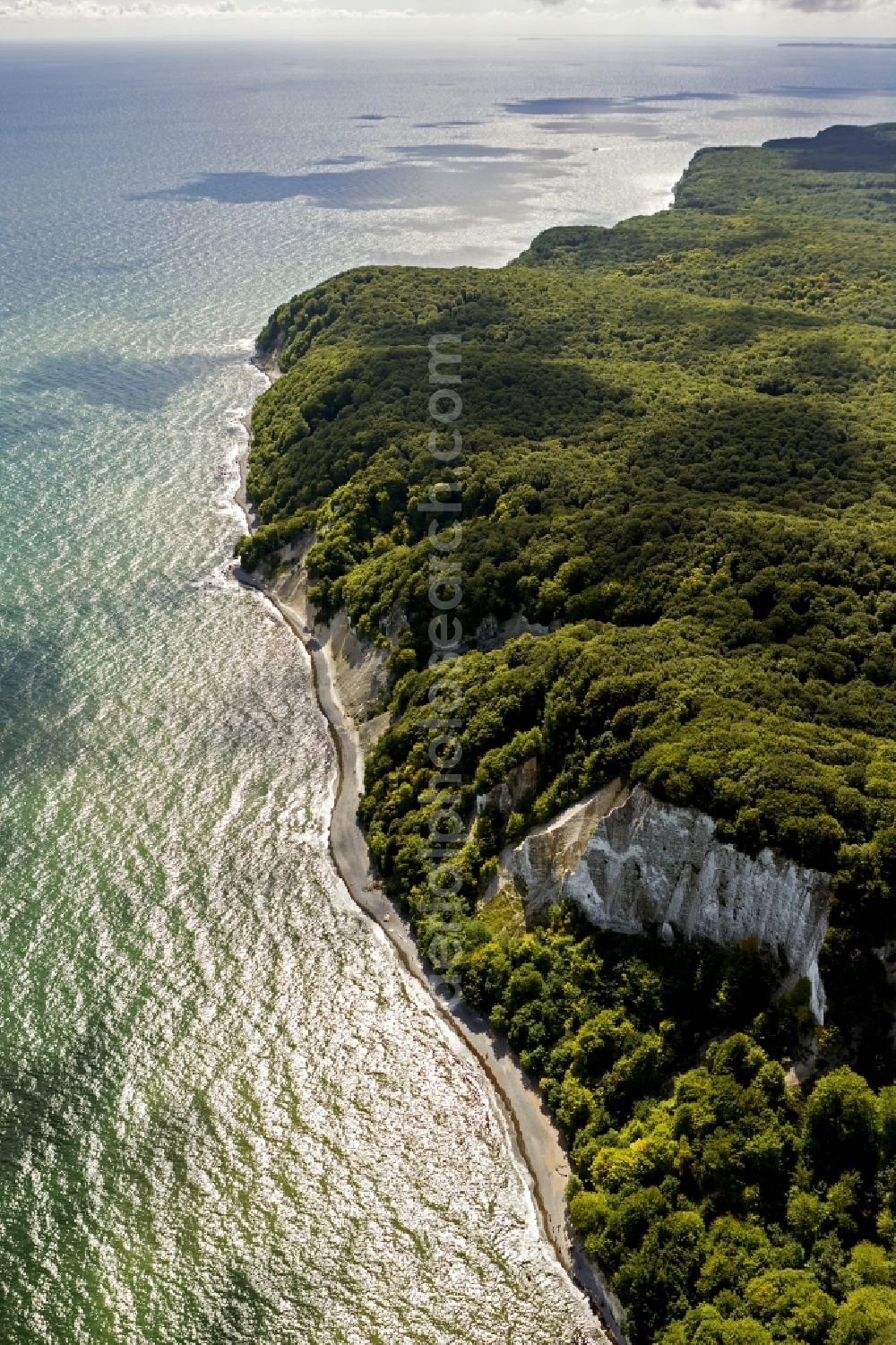 Aerial image Sassnitz - View of the chalk cliff coast in the National Park Jasmund near Sassnitz on the island Ruegen in Mecklenburg-West Pomerania