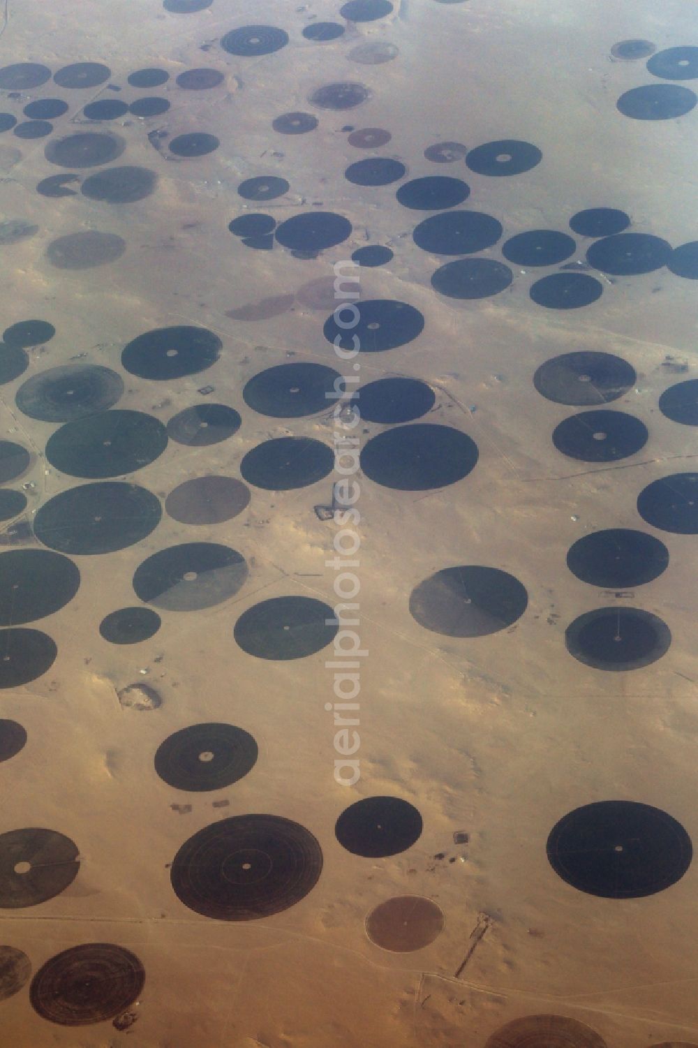 Qaryat Al Ulya from above - Desert landscape with artificial irrigation circles at Qaryat Al Ulya in Eastern Province, Saudi-Arabia