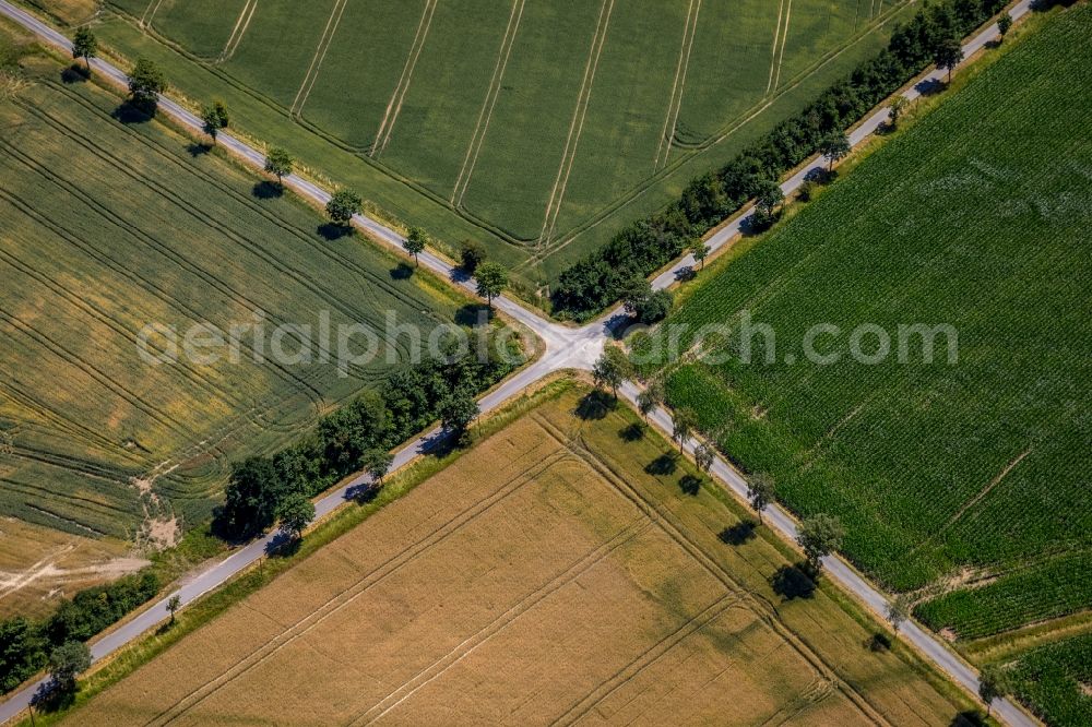 Sendenhorst from above - Road over the crossroads on Wittenberg in Sendenhorst in the state North Rhine-Westphalia, Germany