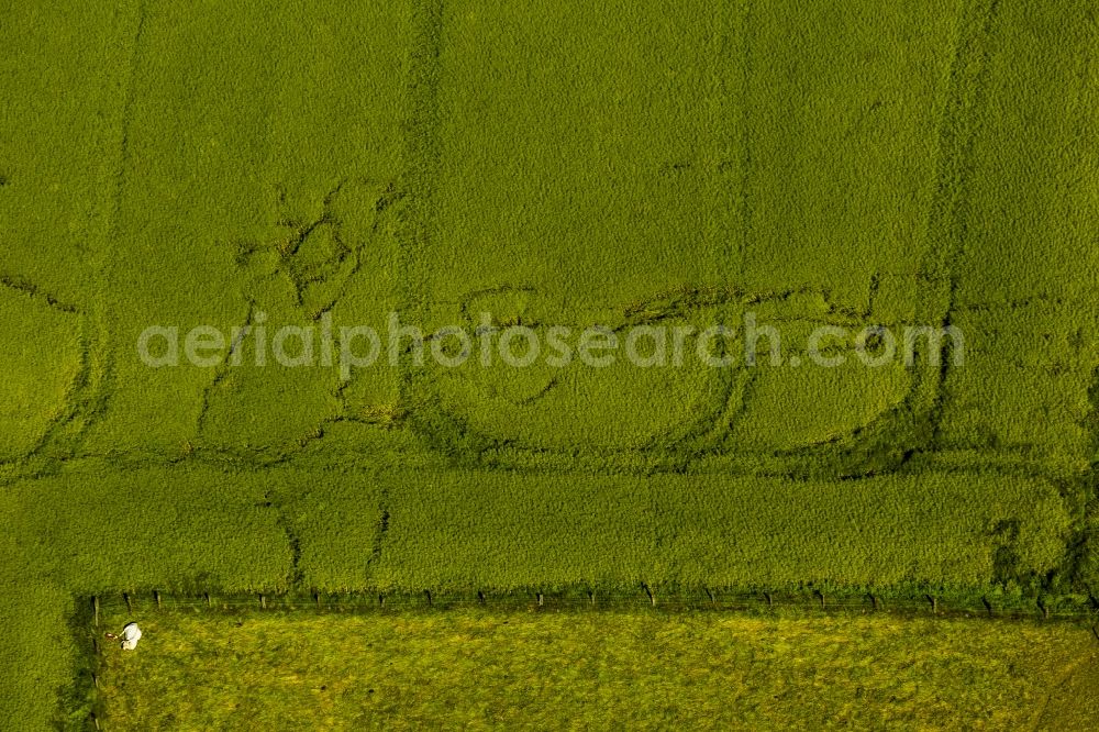 Aerial image Witten - crawler lanes of voles and moles in a field in Witten in the state North Rhine-Westphalia