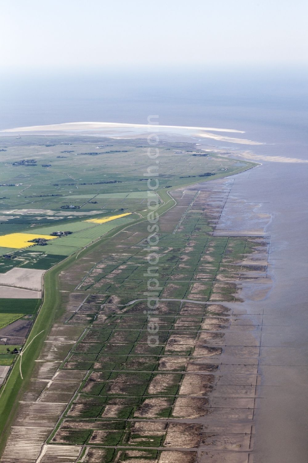 Aerial photograph Osterhever - Coasts scenery with dyke in the Lahnungswerk to the north Norderheverkoog in the district of Augustenkoog in Osterhever in the federal state Schleswig-Holstein