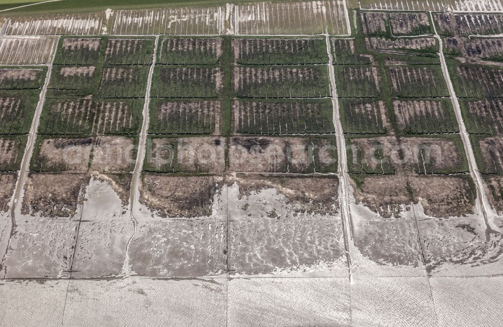 Aerial photograph Osterhever - Coasts scenery with dyke in the Lahnungswerk to the north Norderheverkoog in the district of Augustenkoog in Osterhever in the federal state Schleswig-Holstein