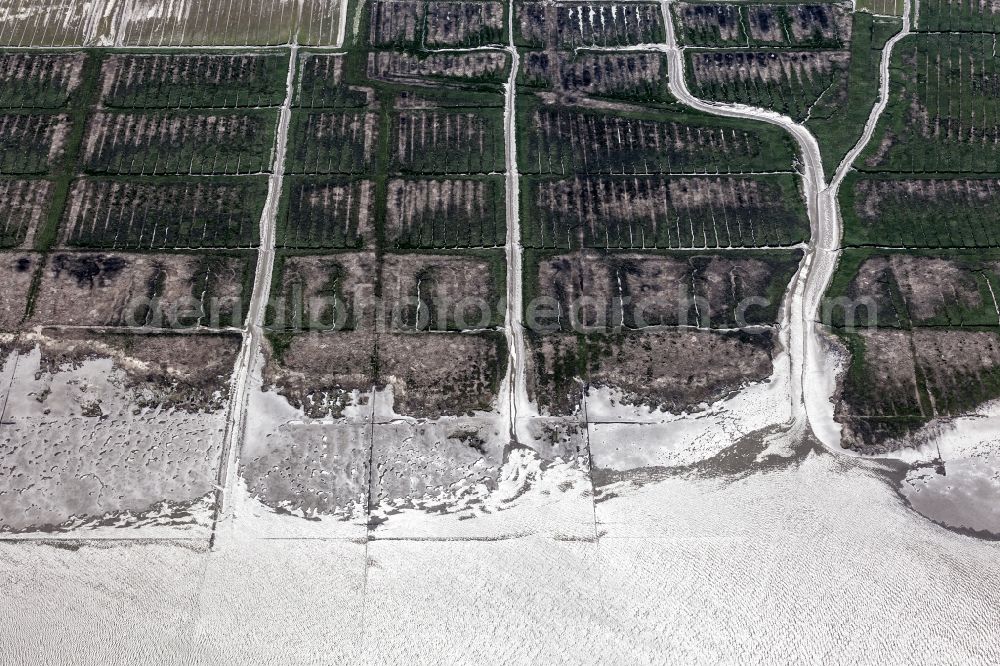 Aerial image Osterhever - Coasts scenery with dyke in the Lahnungswerk to the north Norderheverkoog in the district of Augustenkoog in Osterhever in the federal state Schleswig-Holstein