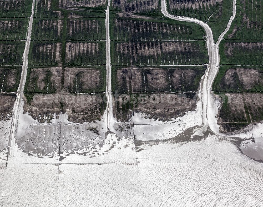 Aerial photograph Osterhever - Coasts scenery with dyke in the Lahnungswerk to the north Norderheverkoog in the district of Augustenkoog in Osterhever in the federal state Schleswig-Holstein