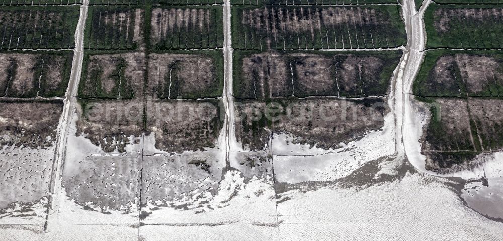 Aerial image Osterhever - Coasts scenery with dyke in the Lahnungswerk to the north Norderheverkoog in the district of Augustenkoog in Osterhever in the federal state Schleswig-Holstein