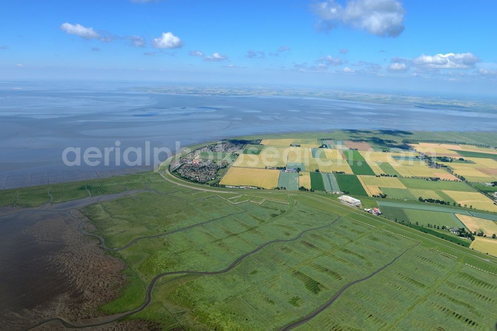 Friedrichskoog from above - Coastline with dike protection strips in Friedrichskoog in the state Schleswig-Holstein