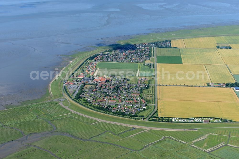 Friedrichskoog from the bird's eye view: Coastline with dike protection strips in Friedrichskoog in the state Schleswig-Holstein