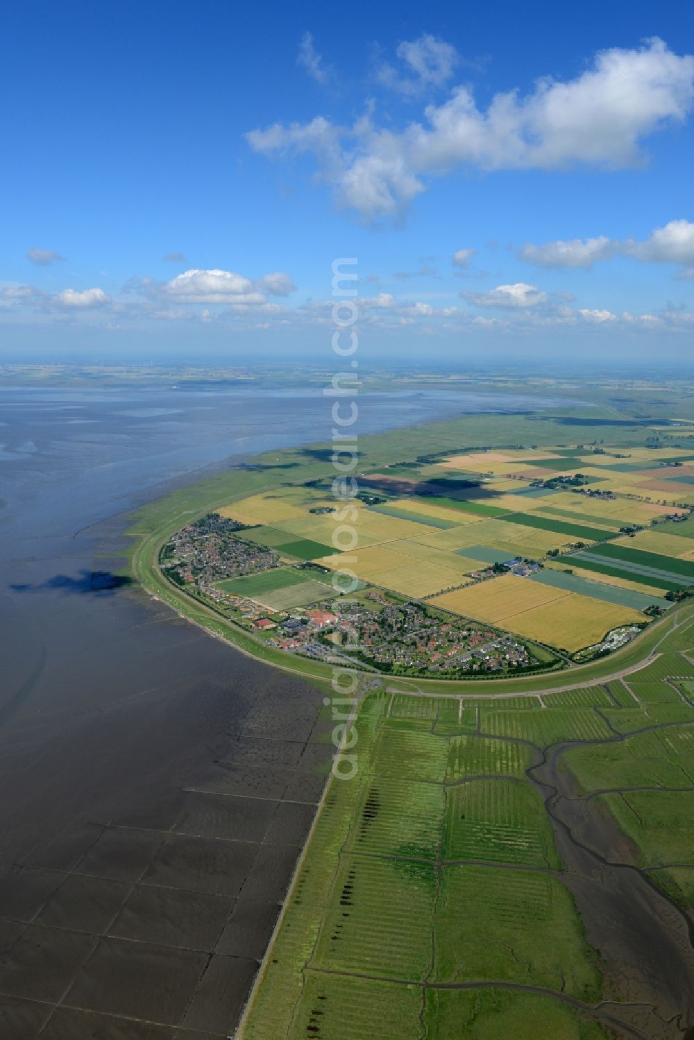 Aerial photograph Friedrichskoog - Coastline with dike protection strips in Friedrichskoog in the state Schleswig-Holstein