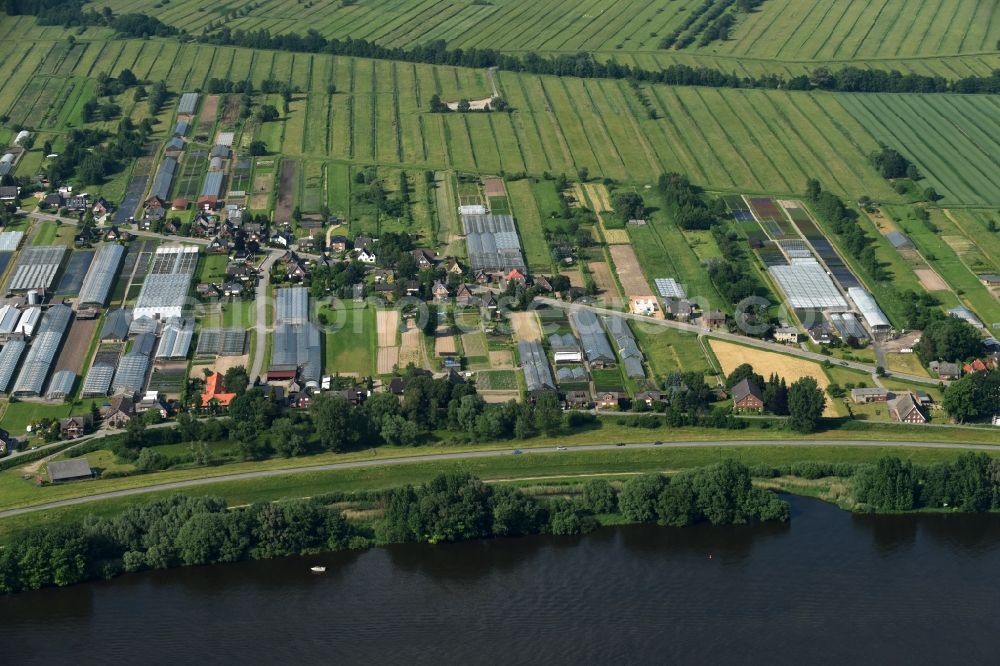 Hamburg from the bird's eye view: Coastline with dike protection strips on the banks of the Elbe in Hamburg Warwisch in the state Hamburg