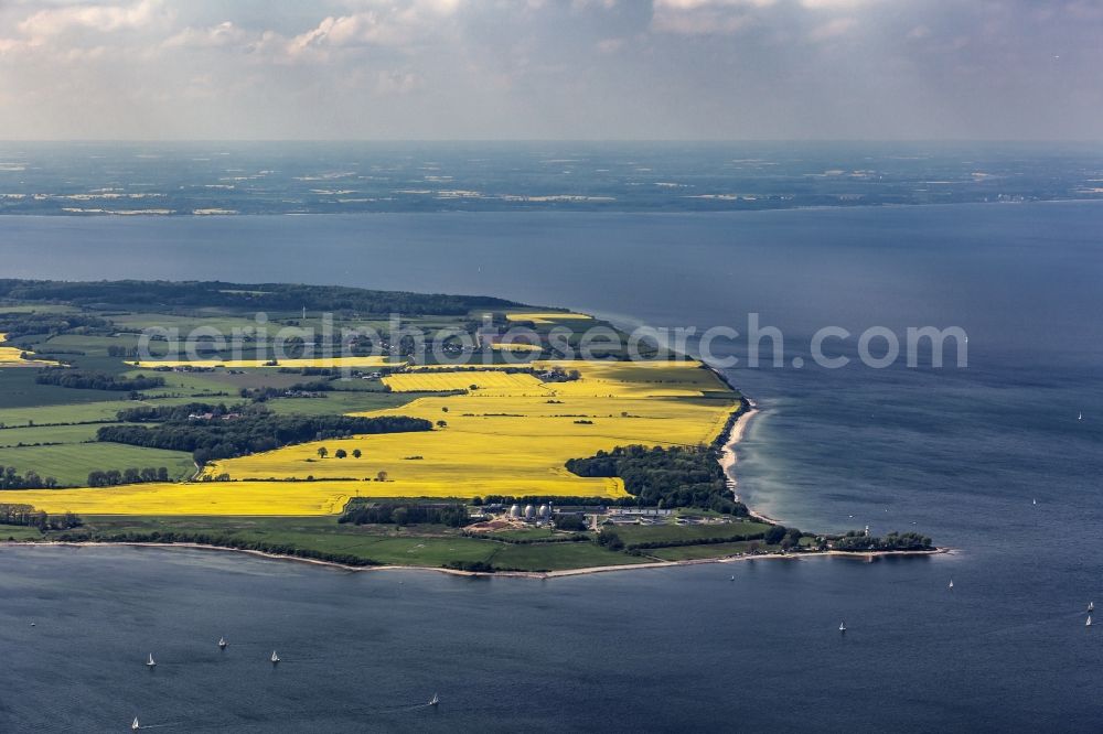 Aerial image Strande - Coasts scenery with yellow rape fields in beach in the federal state Schleswig-Holstein, Germany