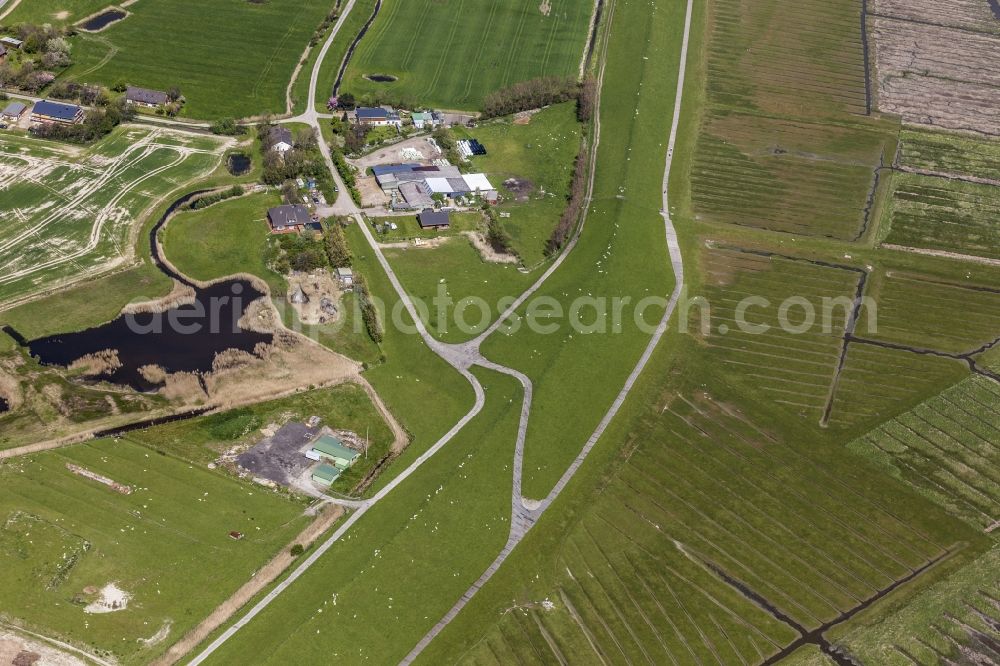 Sankt Peter-Ording from the bird's eye view: Coasts scenery with salt meadows and dyke protective stripe in the district Saint Peter-Ording in Saint Peter-Ording in the federal state Schleswig-Holstein