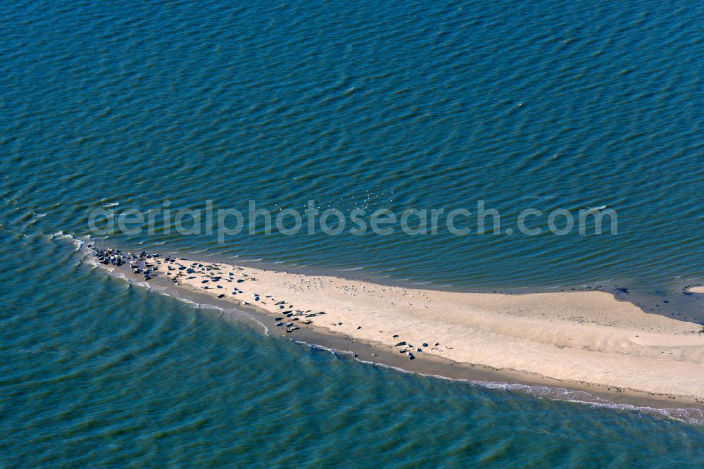 Aerial image Norderney - Coastal landscape and sandbar - structures Seehundbank in Norderney in the state Lower Saxony, Germany