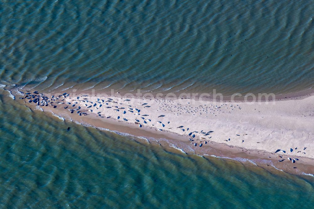 Aerial photograph Norderney - Coastal landscape and sandbar - structures Seehundbank in Norderney in the state Lower Saxony, Germany